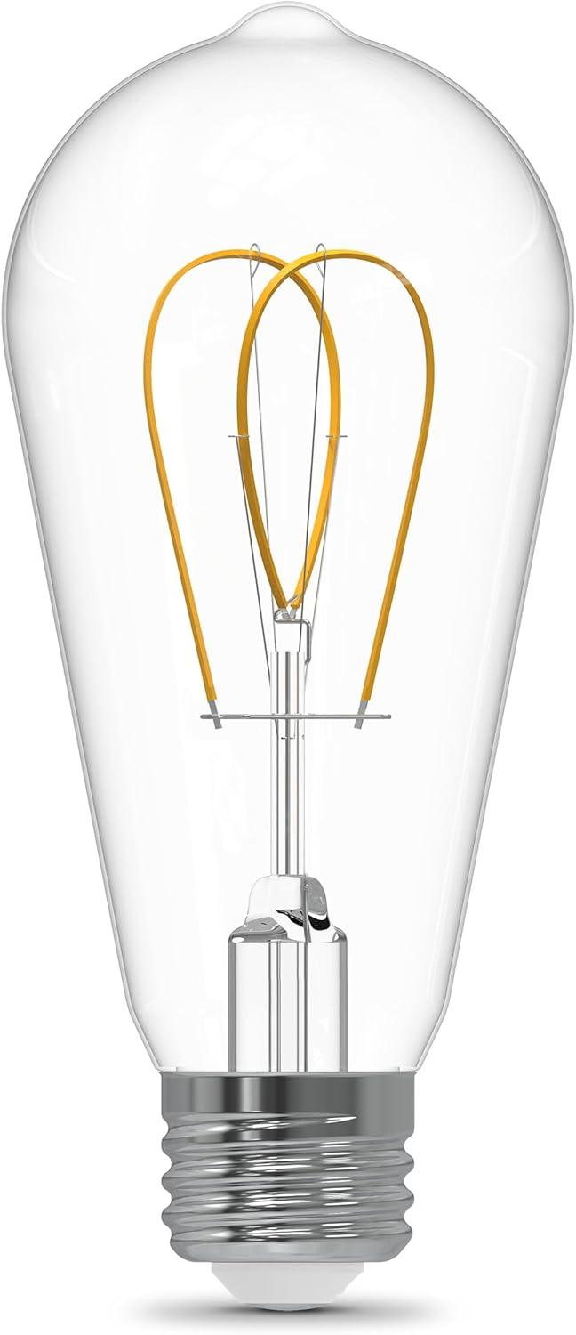 imageFeit Electric ST19 LED Vintage Light Bulb 60W Equivalent Dimmable 5000K Daylight 90 CRI Decorative Glass Filament E26 Base Indoor Use 17000Hour Lifetime ST1960M2950CAFIL2 2 Pack