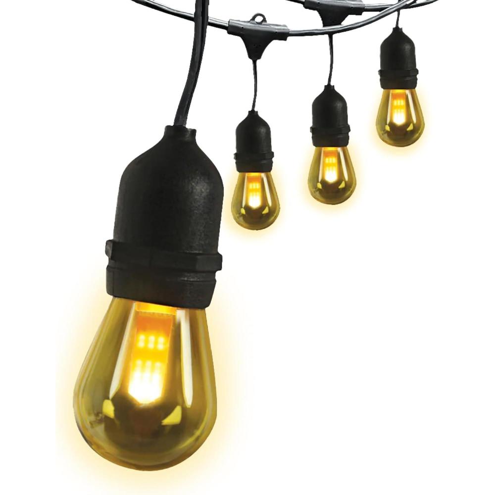 imageFeit Electric 72041 30 Foot HeavyDuty Weather Resistant Decorative Indoor and Outdoor 10 Sockets Incandescent String Lights 30 11W DimmableBlackSoft White