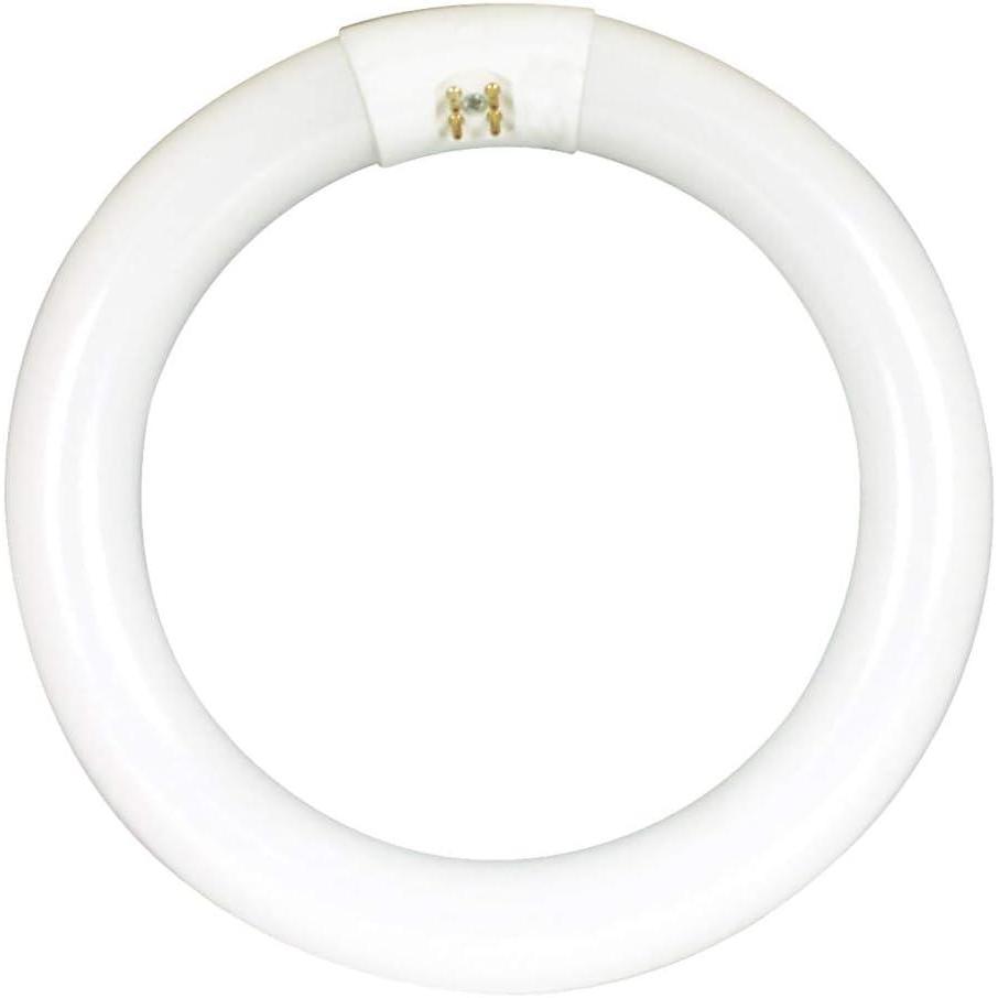 imageFeit Electric 8inch 15 Watt LED Circular Tube T9 Replacement Cool White 4100K G10Q Base Plug ampamp Play Requires Compatible Existing Ballast FC8840LED 22W EQ NonDM LED Tube1 Count Pack of 1