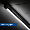 Feit Electric 2ft LED T8 Linear Tube Light, 20W Equivalent, 4000K Cool White, G13 Base, 800 Lumens, Works with Most Magnetic/Electronic Ballasts, 50,000-Hour Lifetime, T24/840/LEDG2/RP/12, 12 Pack(5000k Daylight)