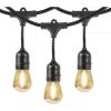 Feit Electric 48′ LED Filament String Light Set(Indoor)