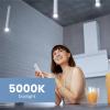 Feit Electric 6W LED Bulbs with 50W Equivalent, Dimmable, MR16 Light Bulbs, 22 Yrs. Lifetime, 500 Lumens, 5000K Daylight, 6 Bulbs – BPEXN/950CA/6(6 Count (Pack of 1))