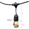 Feit Electric 72041 30 Foot Heavy-Duty Weather Resistant Decorative Indoor and Outdoor 10 Sockets Incandescent String Lights, 30′, 11W, Dimmable,Black(Amber)