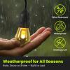 Feit Electric 72041 30 Foot Heavy-Duty Weather Resistant Decorative Indoor and Outdoor 10 Sockets Incandescent String Lights, 30′, 11W, Dimmable,Black(Soft White)