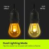Feit Electric 72041 30 Foot Heavy-Duty Weather Resistant Decorative Indoor and Outdoor 10 Sockets Incandescent String Lights, 30′, 11W, Dimmable,Black(Soft White)