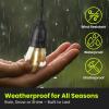 Feit Electric 72041 30 Foot Heavy-Duty Weather Resistant Decorative Indoor and Outdoor 10 Sockets Incandescent String Lights, 30′, 11W, Dimmable,Black(White)