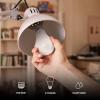 Feit Electric A19 100W Equivalent LED Light Bulbs, Dimmable, 3000k Bright White, 1600 Lumens, 22 Year Lifetime, E26 Base, CRI 90, UL Listed, Damp Rated, 2 Pack, OM100DM/930CA/2(Soft White)