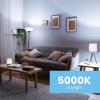 Feit Electric A19 LED Light Bulb, 75W Equivalent, E26 Medium Base, 1100 Lumens, 5000K Daylight White, 90+ CRI, General Purpose Light Bulbs, 11,000-Hour Lifetime, OM75/950CA10K/2/6, 12 Pack(5000k Daylight)