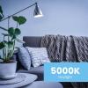 Feit Electric A19 LED Light Bulbs, 100W Equivalent, Dimmable, E26 Standard Base, 90 CRI, 1600 Lumens, 5000K Daylight, General Purpose Light Bulbs, 17,000-Hour Lifetime, A100/950CA/FIL/2, 2 Pack(5000k Daylight)