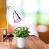Feit Electric A19/GROW/LEDG2/BX Full Spectrum Led 60W Equivalent A19 Non-Dimmable Hydro Grow Light Bulb, Green(1 Count (Pack of 1))