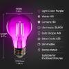 Feit Electric A19/TR/LED/6 25W Equivalent Dimmable Clear Glass Filament Colored LED Light Bulbs, Red, 6-Pack, 2.4″ D x 4″ H(Purple)