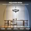 Feit Electric A21 100W LED Light Bulb, 100W Equivalent, Dimmable, Color Selectable 6-Way, 5CCT, E26 Medium Base, 90CRI, 1600 Lumens, 22-Year Life, Damp Rated LED Lightbulb, OM100DM/6WYCA/2, 2 Pack(CA10)
