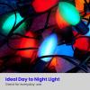 Feit Electric BPC7/B/LEDG2/2/6 7W Equivalent 0.5 Watt Candelabra Base Holiday Party Decorative LED C7 Light Bulb, 2.15″ H x 1″ D, Blue, 12(Blue)