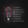 Feit Electric Infinity 3D Fireworks LED Light Bulb, ST19 LED Bulb, ST19/PRISM/LED,1 Count (Pack of 1), Multicolor(1 Count (Pack of 1))