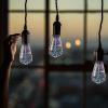 Feit Electric Infinity 3D Fireworks LED Light Bulb, ST19 LED Bulb, ST19/PRISM/LED,1 Count (Pack of 1), Multicolor(Pack of 2)