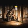 Feit Electric LED 100W Temporary Work Light, 12,000 Lumens, Hanging Plug-in Worklight, Ideal for Jobsites, Construction, Garages, Workshops and Large Area Lighting, 5000k, WORKCAGE12000PLUG