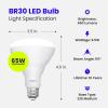 Feit Electric LED BR30 Light Bulbs, 65W Equivalent, Dimmable, 10 Year Life, 650 Lumens, 2700K Soft White, E26 Base Recessed Can Light Bulbs, Flood Light Bulbs, Damp Rated, 12 Pack, BR30DM/10KLED/MP/12(5000k Daylight)