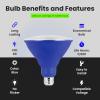 Feit Electric LED PAR38 Medium E26 Base Party and Holiday Light Bulb – 6.5 Watts – 10 Year Life – 400 Lumen – Green – Non-Dimmable | 1-Pack(Blue)