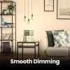 Feit Electric ST19 Vintage Edison LED Light Bulb, 40W Equivalent, Dimmable, 5000K Daylight, E26 Base, Clear Glass Thin Filament Lighting Bulbs, 15,000-Hour Lifetime, ST1940/950CATFIL/2, 2 Pack(2100 Warm White)