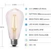 Feit Electric ST19 Vintage Edison LED Light Bulb, 60W Equivalent, Dimmable, 2100K Warm Light, 400 Lumens, Straight Filament Clear Glass Light Bulbs, 15,000-Hour Lifetime, ST19/CL/VG/LED/2/4, 8 Pack(2700k Soft White)
