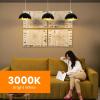Feit Electric Specialty 6.5 Watts LED Light Bulb with 75-Watt Equivalent, Dimmable T4 Bulb, 750 Lumens, 9 Yrs. Leftime, 3000K Warm White, Pack of 1 – BP75MC/830/LED(3000k (Warm White))