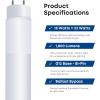 Feit Electric T848/850/B/LED/2/5 4FT T8 LED Tube Light, Type B Ballast Bypass, Ballast Removal Required, 18W=32W, 5000K Daylight, Double-End Powered, F32T8 Fluorescent Tube Replacement, UL, Pack of 10(5000k Daylight)