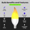 Flame Effect BPFLAME/C/LED/2 LED Candelabra Light Bulb(2 Count (Pack of 1))