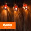 Flame Effect BPFLAME/C/LED/2 LED Candelabra Light Bulb(2 Count (Pack of 1))