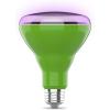 Feit Electric – BR30/GROW/LEDG2/BX Full Spectrum LED 65W Equivalent BR30 Non-Dimmable Hydro Grow Light Bulb(1 Count (Pack of 1))