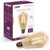 Feit Electric 60 Watt Equivalent Smart Filament Globe Bulb, Spiral Filament WiFi Dimmable, Works with Alexa and Google Assistant No Hub Required, G30 Vanity LED Smart Light Bulb G3060/RGBW/FIL/AG(2100k Amber)