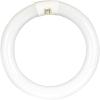 Feit Electric 8-inch 15 Watt LED Circular Tube T9 Replacement, Cool White, 4100K, G10Q Base, Plug & Play, Requires Compatible Existing Ballast, FC8/840/LED 22W EQ Non-DM LED Tube(1 Count (Pack of 1))