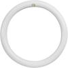 Feit Electric FC12/840/LED 32W Equivalent 20-Watt Non-Dimmable 2000 Lumen T9 4-pin G10Q Base Direct Replacement, 12″ Diameter, 4100K (Cool White)