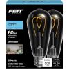 Feit Electric ST19 LED Vintage Light Bulb, 60W Equivalent, Dimmable, 5000K Daylight, 90+ CRI, Decorative Glass Filament, E26 Base, Indoor Use, 17,000-Hour Lifetime, ST1960M2/950CAFIL/2, 2 Pack