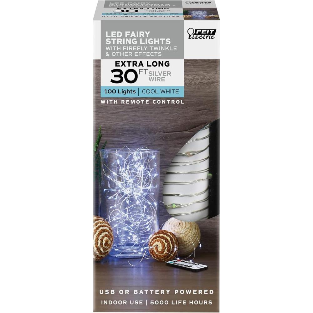 imageFeit Electric 30ft Indoor LED Fairy String Lights with Silver Wire Light Strand 20K Life Hours 18W Cool White and AA Battery or USB Powered  FY30100USBCWSLVSilver