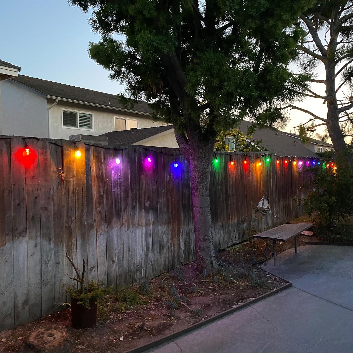 image:imageFeit Electric 24ft Smart Outdoor String Lights 12 Socket Color Changing Works with AlexaGoogle Assistant Heavy Duty and Weather Resistant Frosted Bulb LVSL2412RGBWAG