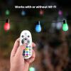 Feit Electric 24ft Smart Outdoor String Lights, 12 Socket Color Changing Works with Alexa/Google Assistant, Heavy Duty and Weather Resistant – Frosted Bulb – LVSL24-12/RGBW/AG