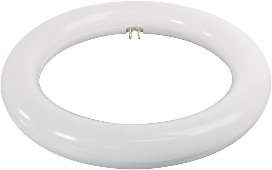 image:imageFeit Electric LED Light Bulbs Bundle T8 Tube Lights 4 Pack and Circular T9 Bulb