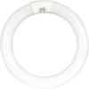 Feit Electric LED Light Bulbs Bundle – T8 Tube Lights (4 Pack) and Circular T9 Bulb