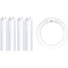 Feit Electric LED Light Bulbs Bundle – T8 Tube Lights (4 Pack) and Circular T9 Bulb